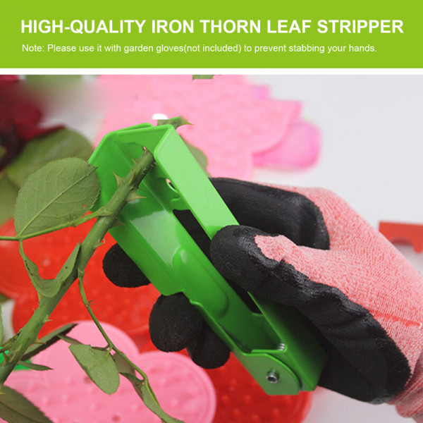 Florist Special Rose Thorn Remover