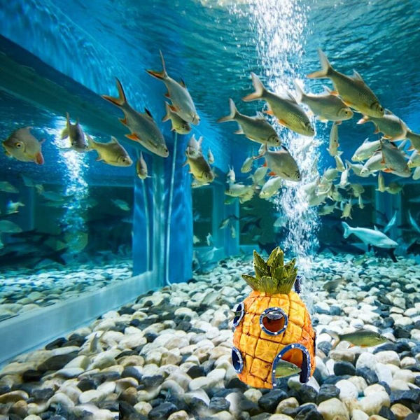 Ananas hus med æske simulation harpiks håndværk tegneserie animation akvarie landskabspleje