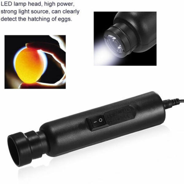 Led Light Egg Candler Tester, inkubatorlager exklusiv power