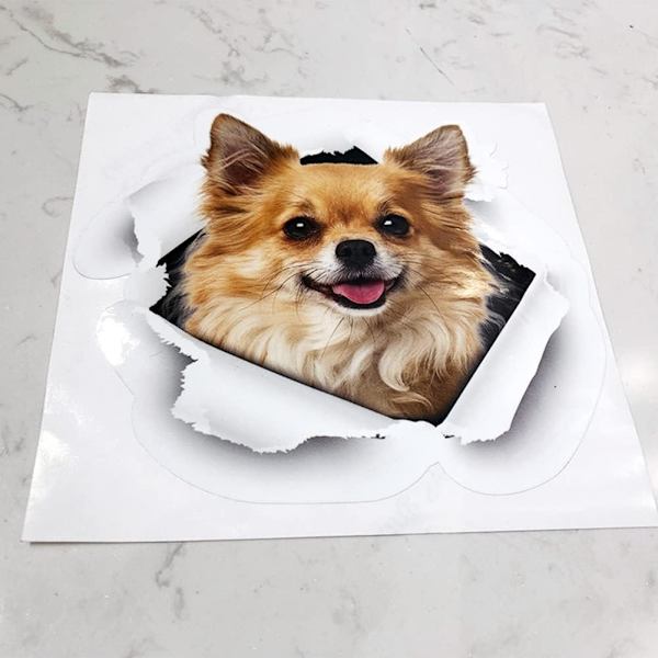 (F)Bilsticker, 3D-bilstickers Vinyl-bilstickers Morsomme kreative