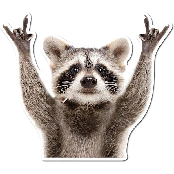 Rocking Raccoon -tarra, Hauska Pesukarhu Autotarra 5,5 tuuman Tarra Autolle, Kannettavalle, Seinälle, Ikkunalle, Puskuriin AWPS109