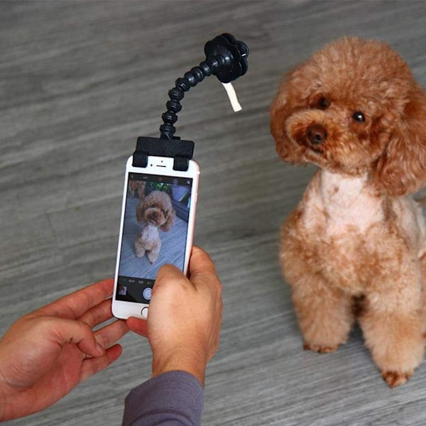 x Flexibel Selfie-pinne för Husdjur (Svart) för Hundar och Katter, Fotorekvisita, Leksaker, Multifunktionell Smartphonetillbehör, Snackshållare, Hundleksak för Bad