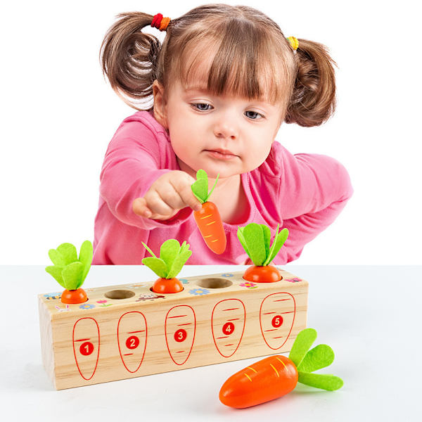 Montessori STEM - Peli porkkanoilla ja puukahvalla, numerot