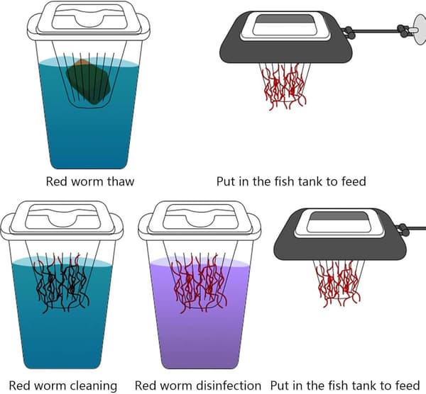 1 Aquarium Flydende Ring Kegle Foderdispenser Akvariefisk Foderdispenser Akvarietilbehør til Guldfisk, Cichlider, Guppyer