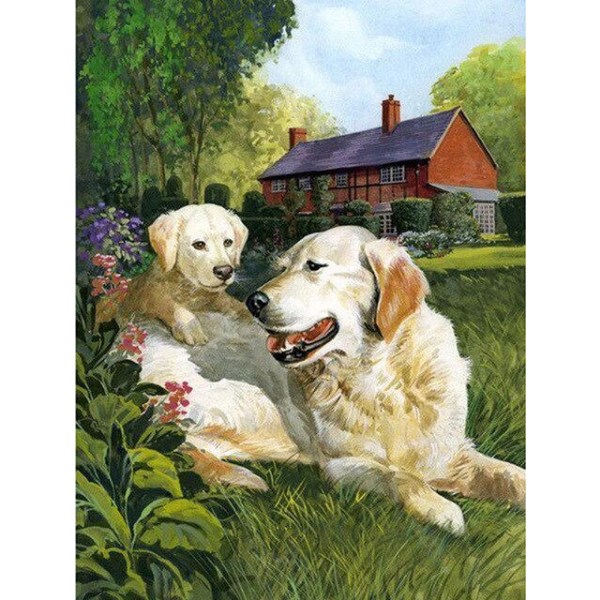 30 x 40 cm ,deux chiens Diamond painting Broderie Diamant Peint