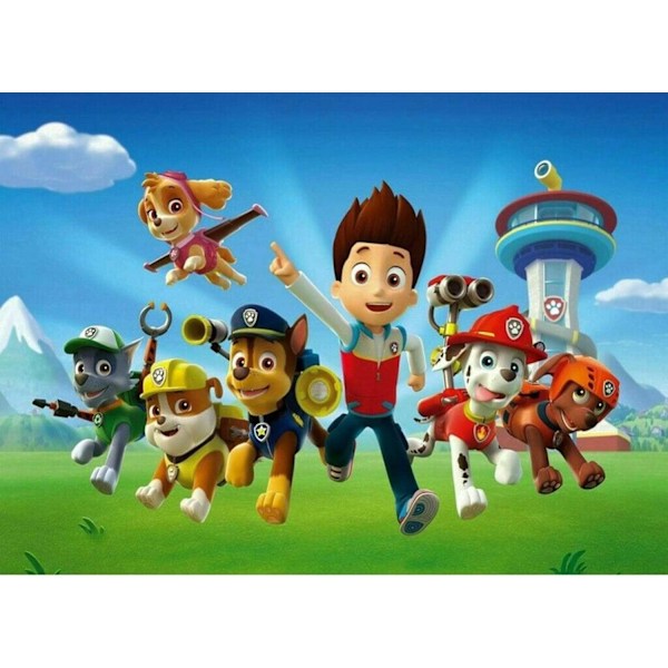 5D timanttimaalaus Paw Patrol 30x40cm (Style 7)