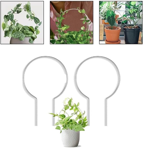 Sæt med 2 akrylstativer til klatreplanter og slyngplanter