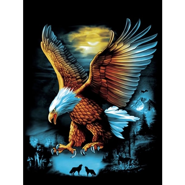 (30x40cm)12\"x16\" 5D DIY timanttimaalaussetti Eagle Landscap