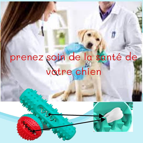 Uknuselig hundeleke/godbitdispenserleke