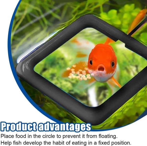 Foderring til fisk, sugekop akvarietilbehør, fiskefoderdispenser, skildpaddefoderdispenser cirkel til guppy (sort/blå)
