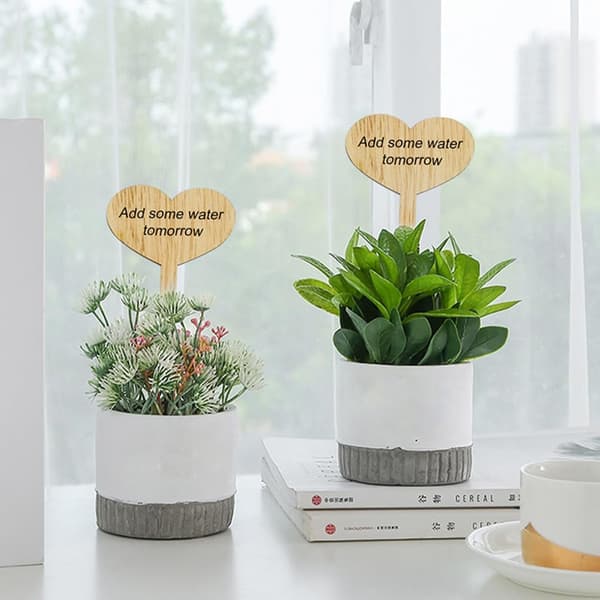 30 st Bambu Trädgårdsplantmärken i Hjärtform