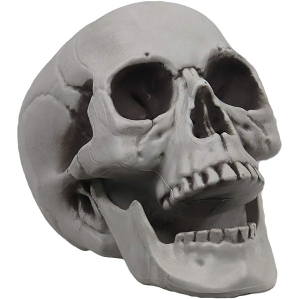 Livsstor Skeletkranium til Halloween Dekoration Graveyard Udendørs Hvid