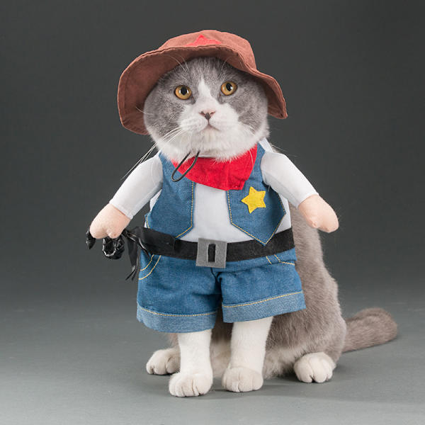 Cowboy hundekostume med hat Hunde tøj Halloween kostumer til kat og lille hund Forår og efterår