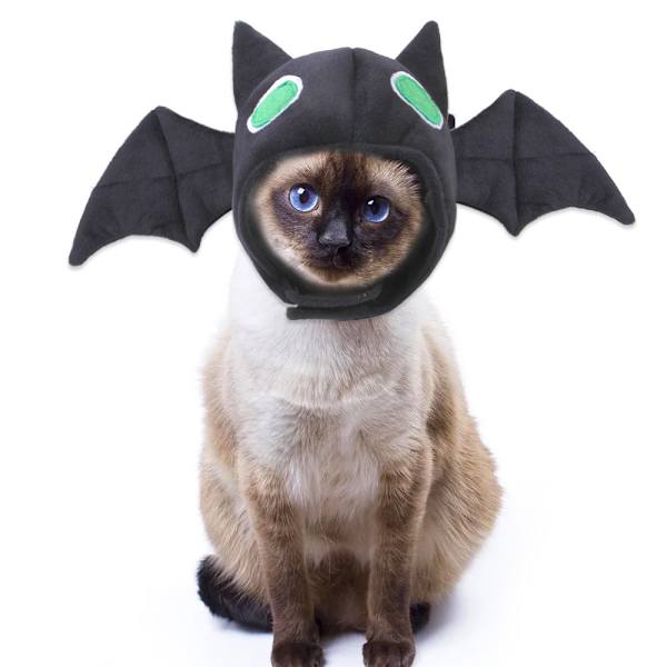 Husdjur Halloween Hatt - Teddy Maskeraddräkt Fladermous Hårprydnad