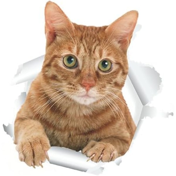 Avtagbar Katt Toalett Klistermärke PVC 3D Väggdekor för Toalettsits eller Badrum