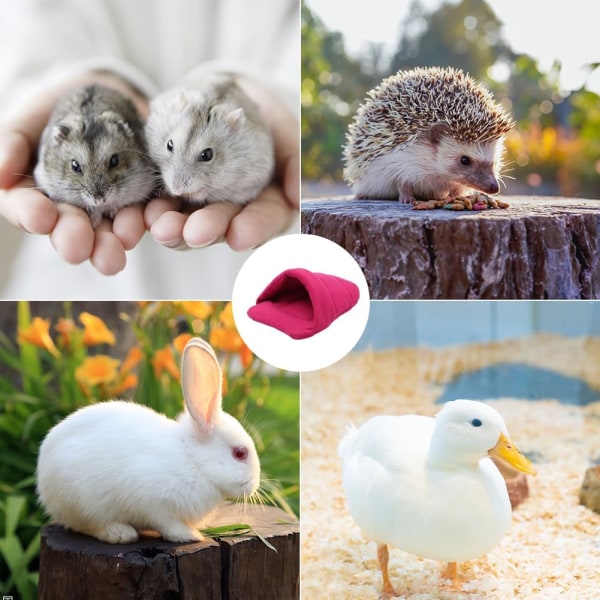 (Rose Red)Marsvine seng Hamster seng sovepose hule rede
