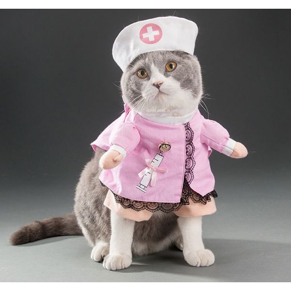 Hund katt sjuksköterska kostym husdjur sjuksköterska kläder Halloween jeans outfit kläder katt och hund kläder stativ och