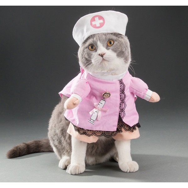 Hunde Kat Sygeplejerske Kostume Pet Sygeplejerske Tøj Halloween Jeans Outf