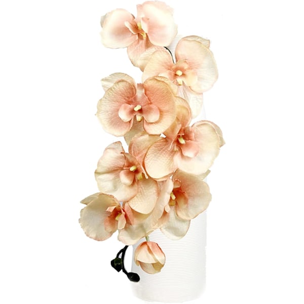 (Champagne) 4 stk. Silke Kunstige Orkide Blomster Stilk, 8 Hoveder Faux Phalaenopsis Blomster Grene 27,5'' Kunstig Blomst
