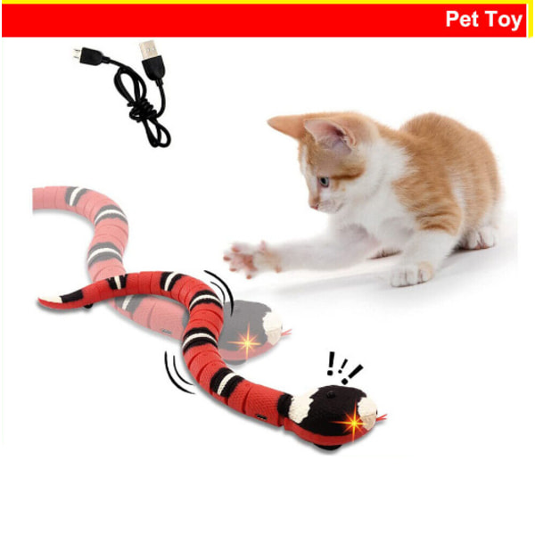 Jouet interactif pour chat, slange à détection intelligente, f.eks