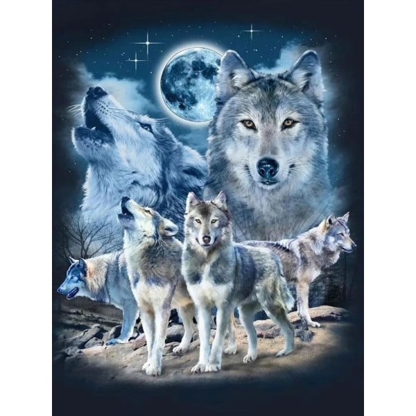 30 x 40 cm, ulv i måneskin Diamantmaleri Broderi D