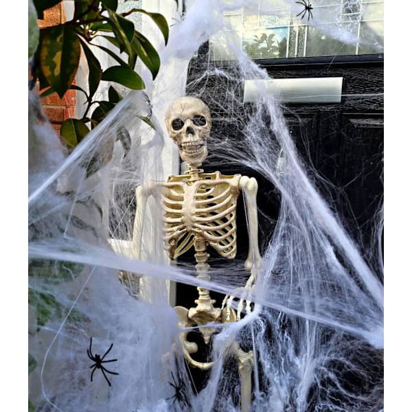 Halloween 60g Vit Spindelväv Dekoration med 30 Falska Spindlar, Spindelnät, Spindelnät, Läskig Dekoration