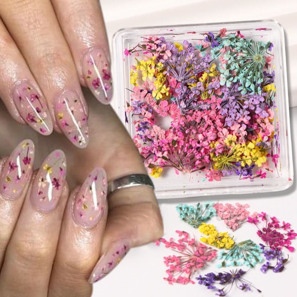 3D Tørkede Blomster Neglekunst Klistremerker Fargerike Tørre Blomster for Negle Sett - DIY Mini Mix Blomsterblader Negleklistremerker Naturlige