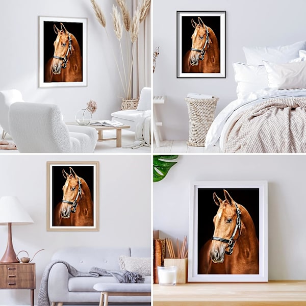 5D Diamantmaleri Kit 30x40cm DIY Farverig Hest Diamantkunst