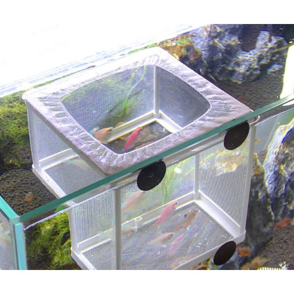 Akvarium fisk isoleringsbox, 26 * 15 * 15,5 cm, stort kläckningsnät, fiskinkubator akvarium fisk