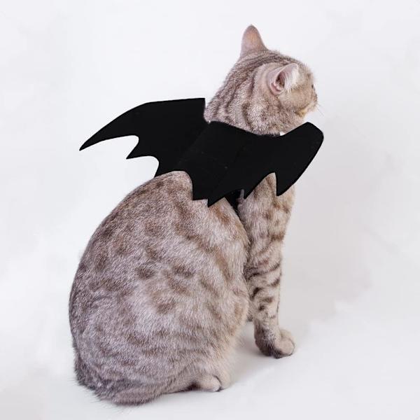 (S) Kat Halloween Kostume Kæledyr Flagermus Vinger med Græskar Formet Klokke Tilbehør Velegnet til Hvalp og