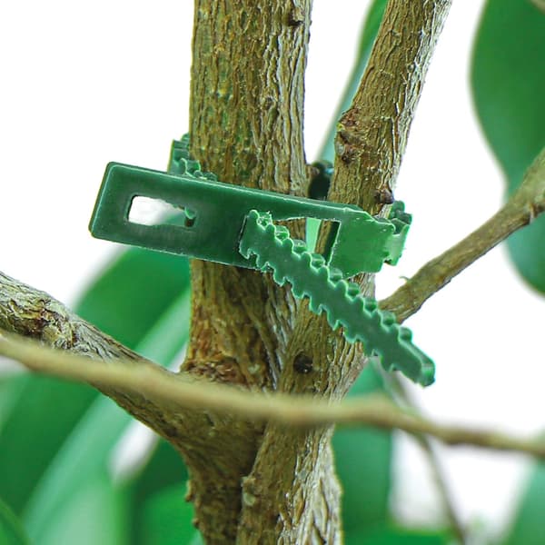 200x Växtbindare - Gröna Växtbindare - Universella Bindare - Blomsterbindare - Binder Buskar och Stabiliserar Växter - 13 cm (13 centimeter)