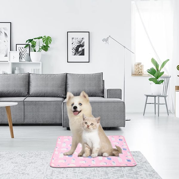 Koiran jäähdytyspatja, Vaaleanpunainen kissan jäähdytyspatja Lemmikin jäähdytyspatja Jäähdytyspatja koirille Pennun jäähdytyspatja 55x70cm