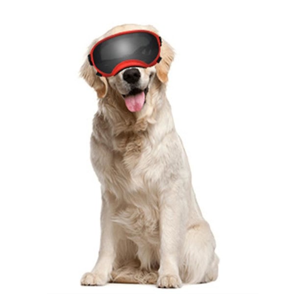 Solbriller til mellemstore til store hunde, UV-beskyttelse, Wind Pro
