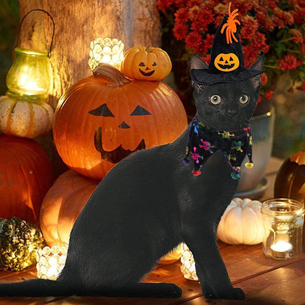 Jul kattkläder, kattkläder, Halloween festdekoration för husdjur katt cape hatt hundhalsband kock ha