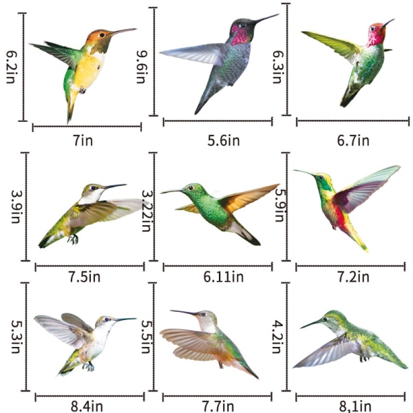 2 kpl 9 linnun suurta kokoa Kolibri Ikkuna Kolibri Tarrat Ikkunaan Anti-Collision Ikkuna C