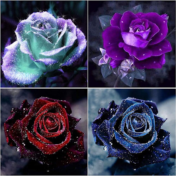 (30x30cm) 4-pack Diamantmålningssatser för vuxna 5D Rose Flo