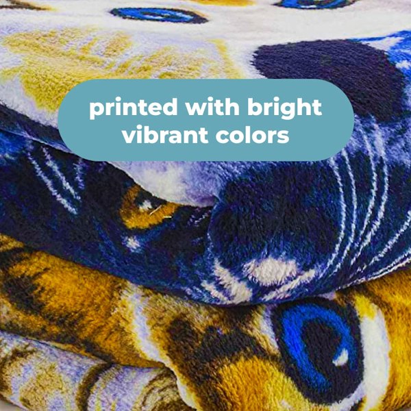 Collage Kitten Fleece Tæppe til Seng, 50\" x 60\" Fleece Tæppe til Unisex og Børn - Super Blødt Plys Kattetæppe