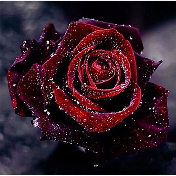 30x40 cm 5D DIY Full Diamond Painting, Diamond Painting