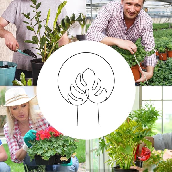 Inomhusklätterväxtstöd, Trädgårdsstöd | Stöd för Stakar, Blompinnar, Pion, Stöd för Trädgårdsstavar