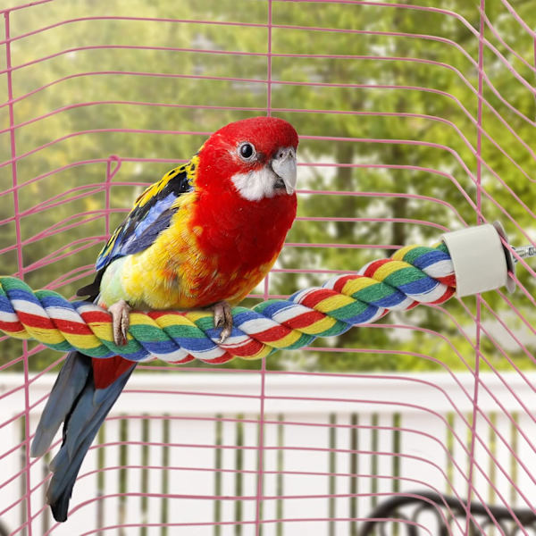 Papegojställning Rep Budgie Klätterrep Fågelbur Leksak Tillbehör för Kakadu/Lovebirds (80cm)