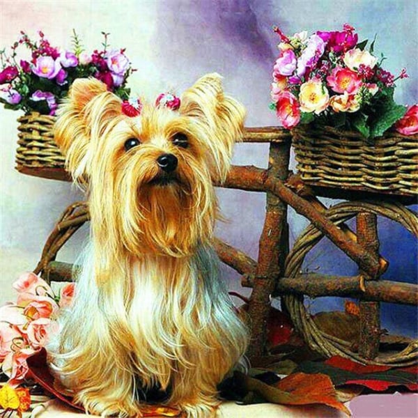 30 x 40 cm ,panier de fleurs et chien à poil long Diamond Paint