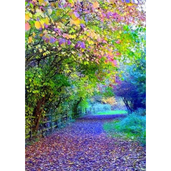30x40 cm 6D DIY Full Diamond Painting, Landskap vattenfall varg