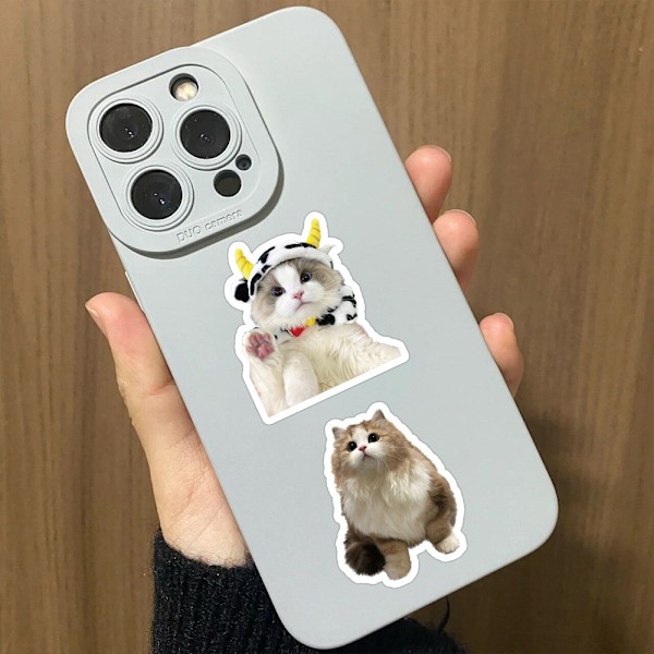60 stk. Søde Katte Stickers Pakke, Børnefødselsdag Gave Stickers Fest Favoritter, Sjove Dyr Vandafvisende Vinyl Stickers til W
