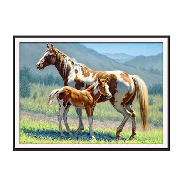 30 x 40 cm, hest diamantmaleri broderi diamantmaleri Ca