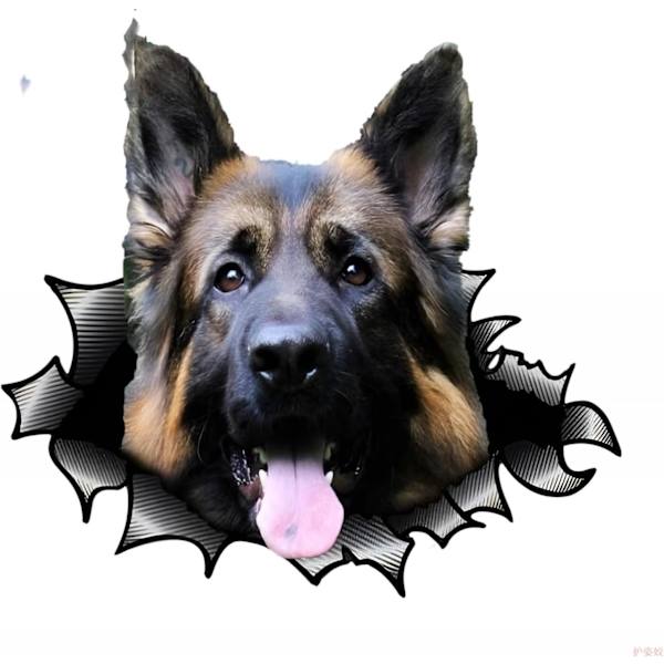15cm Tysk Hyrdehund Bilsticker Tysk Hyrdehund Sticker Kæledyrs Hund Bilstickers Rivet Reflekterende Vandafvisende Bilklap Bagagerum