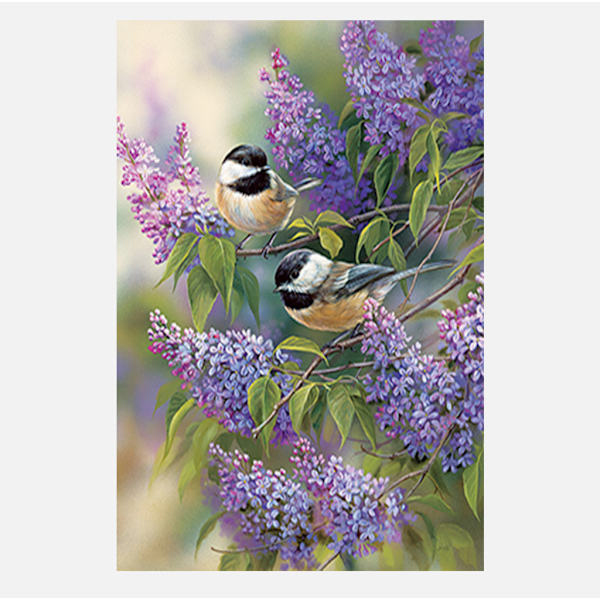 30x40 cm 5D DIY Full Diamond Painting, Parrot Diamond Pei