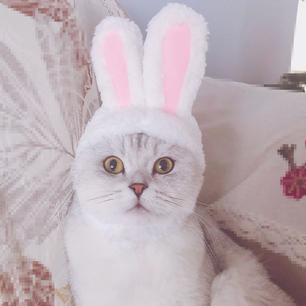 Søt blå drøm kostyme katt kanin lue (hvit), cha