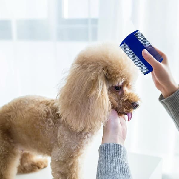 4-pak dobbeltsidet loppekam, til katte og hunde