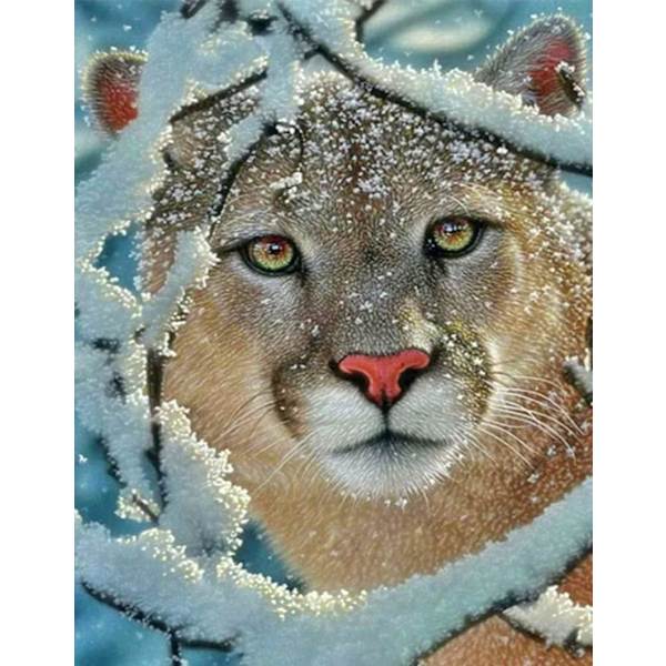 (30x40cm)12x16inch Leopardi Timanttimaalaus Sarjat, 5D Suuri Timantti