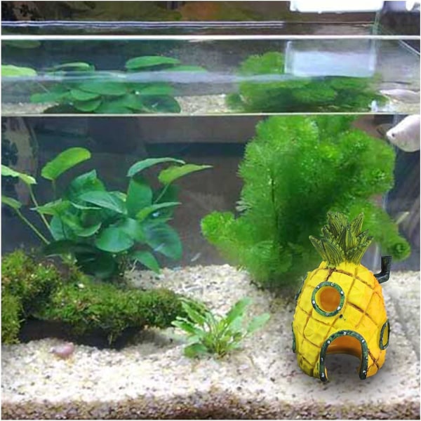 Akvariedekorationer, Akvarietema Dekoration Hule, Akvarie De